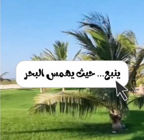ينبع… حيث يهمس البحر