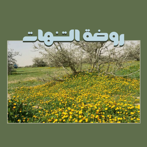روضة التنهات