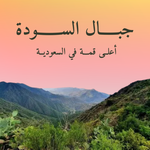 جبال السودة.. أعلى قمة في السعودية