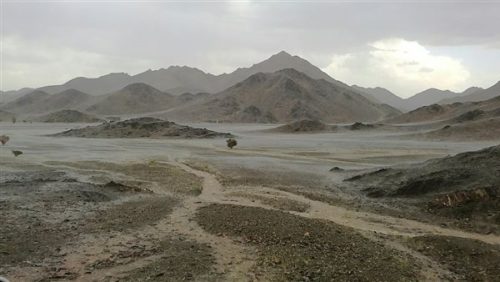 محافظة العيص
