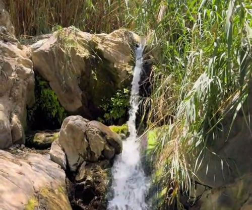 وادي الحمدة #وجهة_الويكند