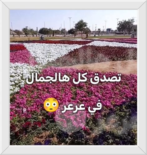حَدِيقَةُ الزُّهُورِ الَّتِي تَسْتَحِقُّ الزِّيَارَةَ