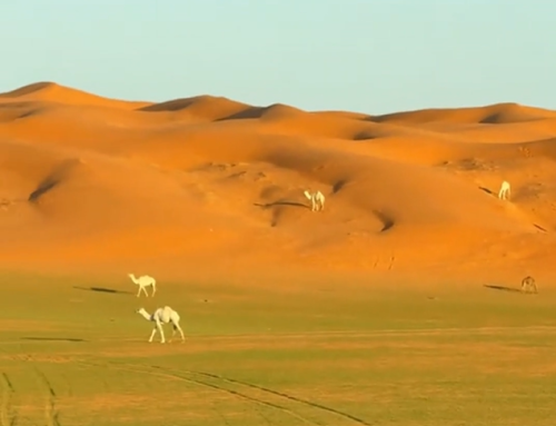 قرية الغاط